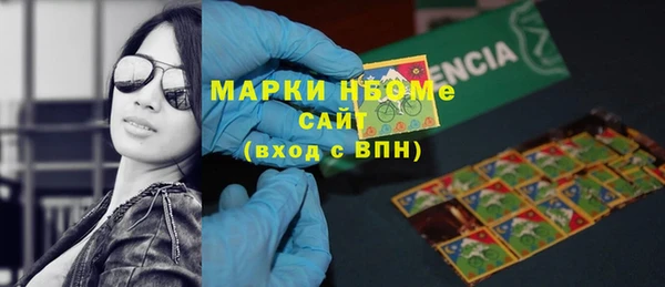 индика Алексин