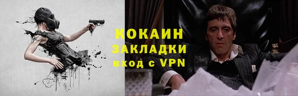 apvp Алзамай