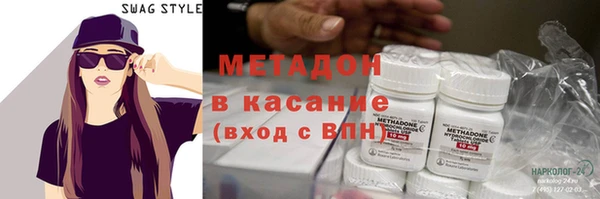 индика Алексин