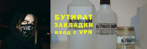 индика Алексин
