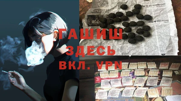 индика Алексин
