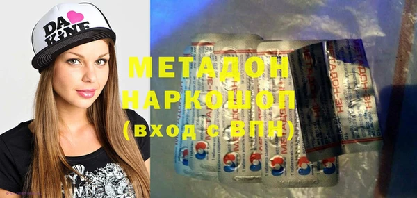 индика Алексин