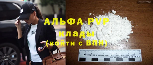индика Алексин